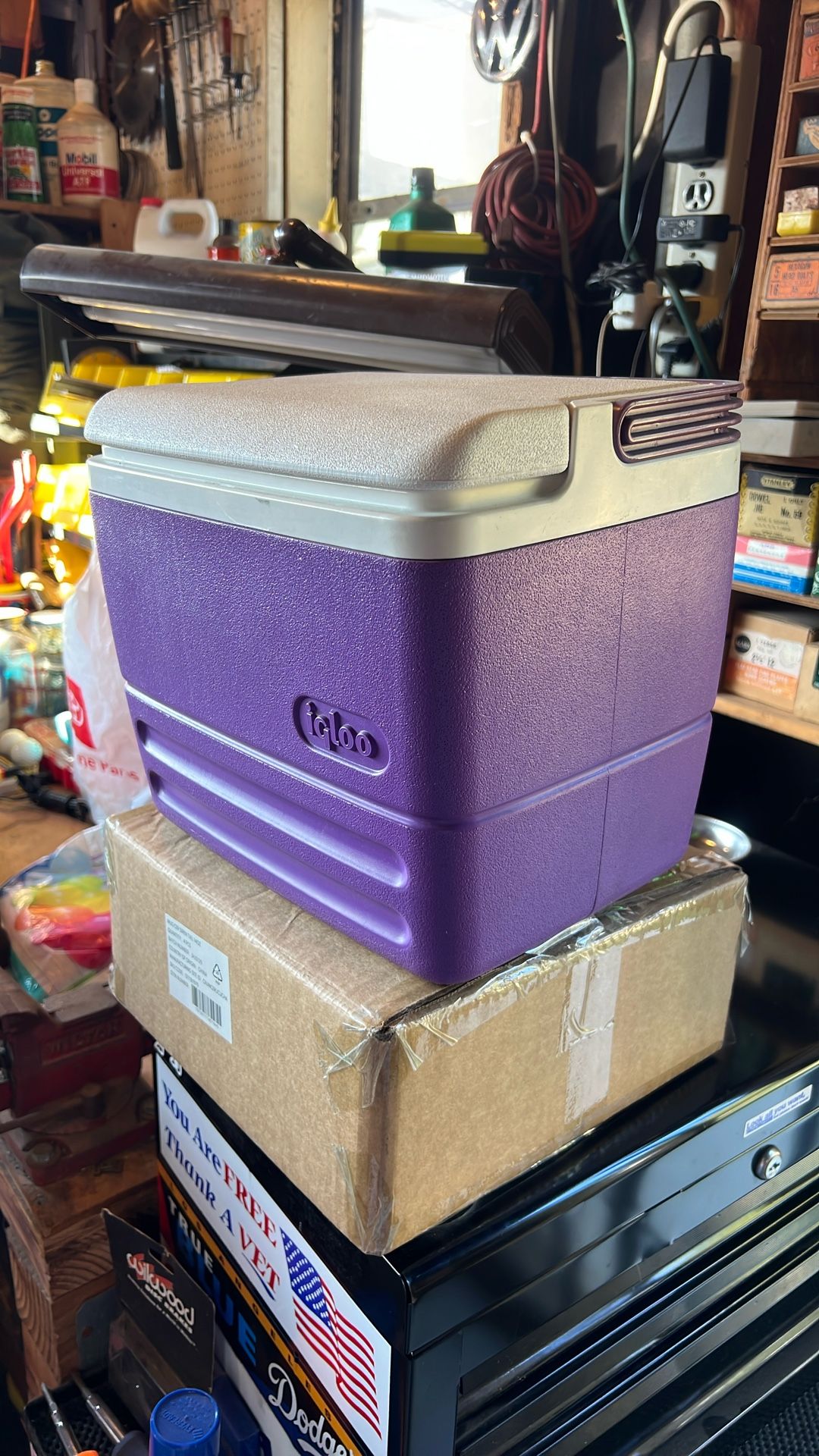 Igloo Ice Chest Cooler