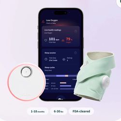 Owlet Dream Sock 