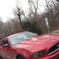 2013 Ford Mustang