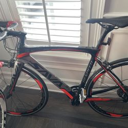 Carbon Fiber Street Bicycle