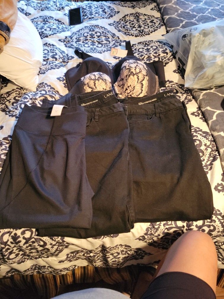 Lane Bryant
