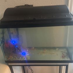 10 Gallon Fish Tank