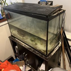 Aquarium and Stand for Sale