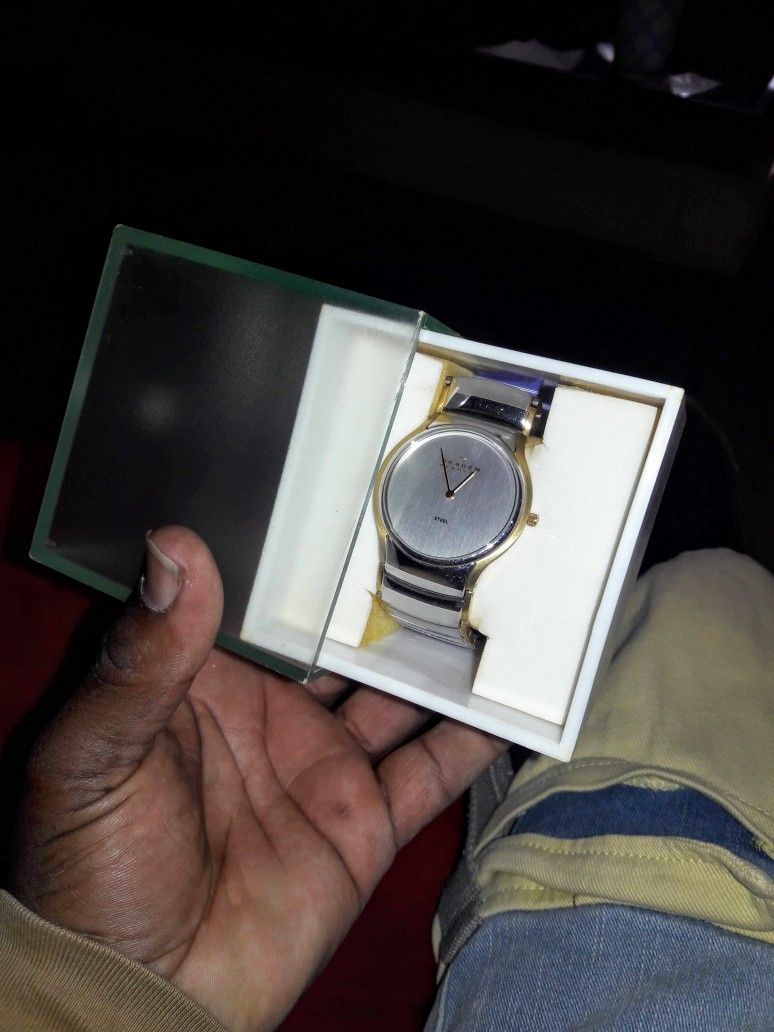 ** SKAGEN DENMARK MEN'S WATCH ** $100