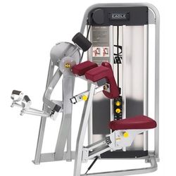 Cybex Eagle Arm Curl Machine $2,500 