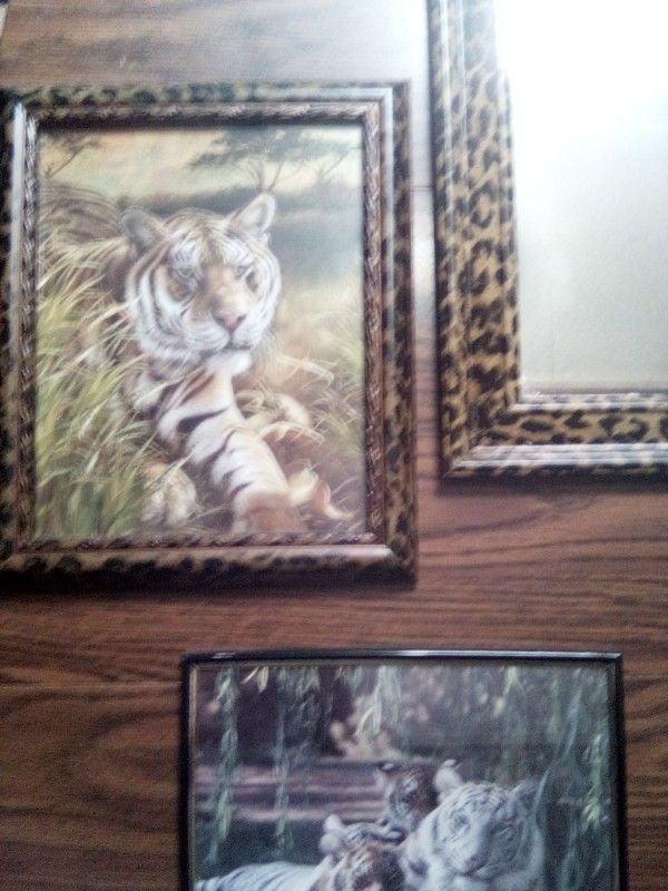 Tiger Decor Collection