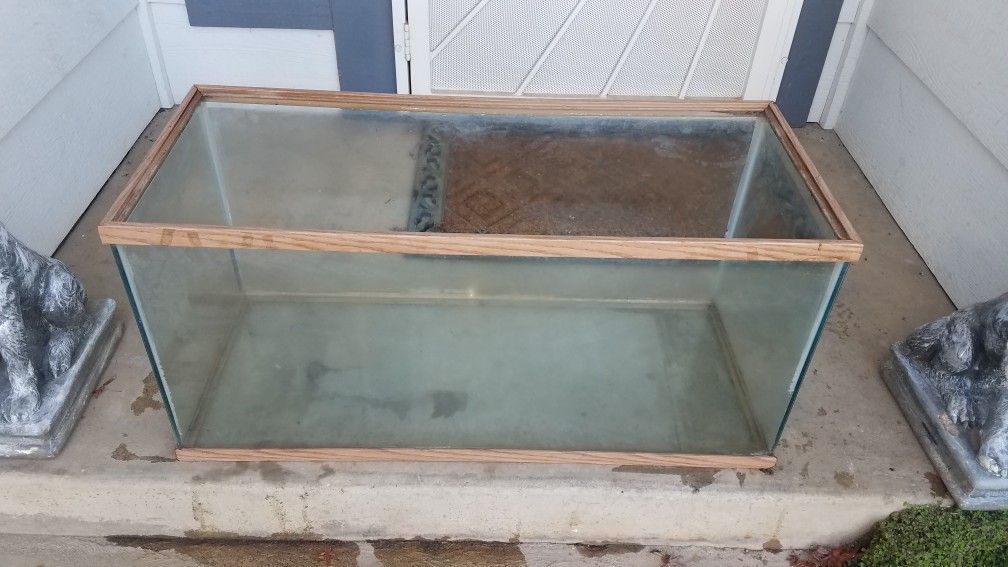 40 gallon breader reptile tank!