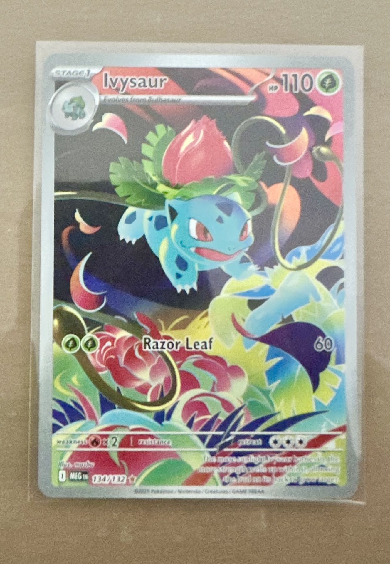 Pokemon Mega Evolutions Ivysaur