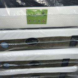 Beds And Mattress All Sizes 