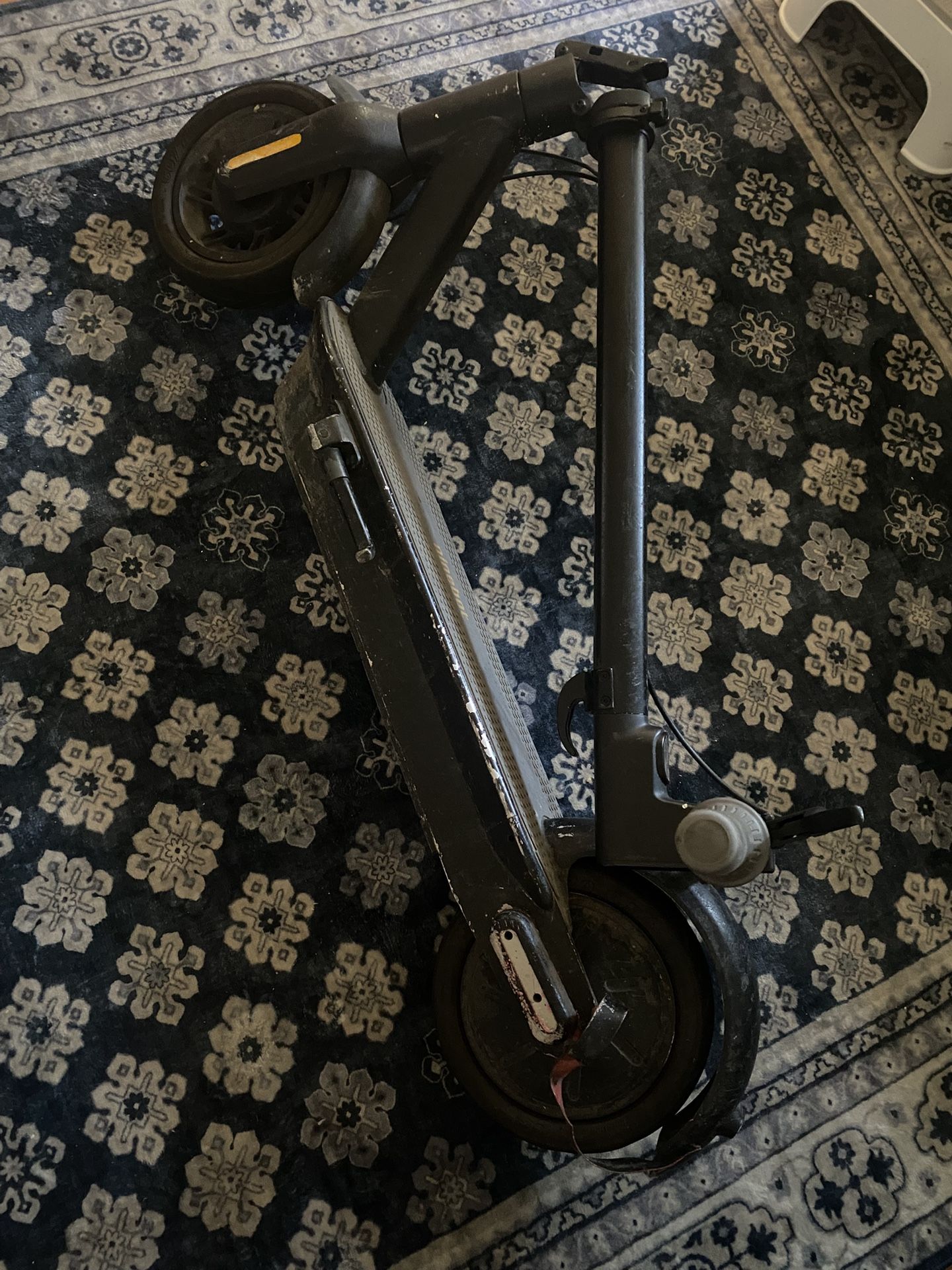 Ninebot Electric Scooter