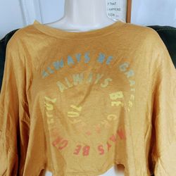 American Eagle Crop Top 