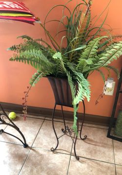 plant decor