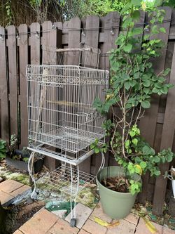 Large Bird Cage