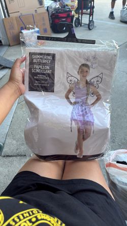 Shimmering Butterfly Costume