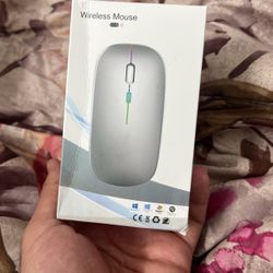 Wireless Mouse 