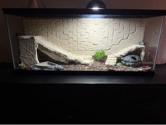Tank