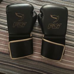 Fly Boxing Gloves Professional 