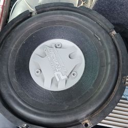 12 Inch Performance Teknique  Subwoofer 