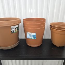 9 Round Plantes Entire Lot