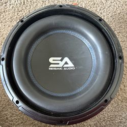 10inch  SA Subwoofer 