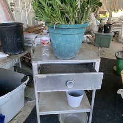 Metal Shelf With Three Plants 