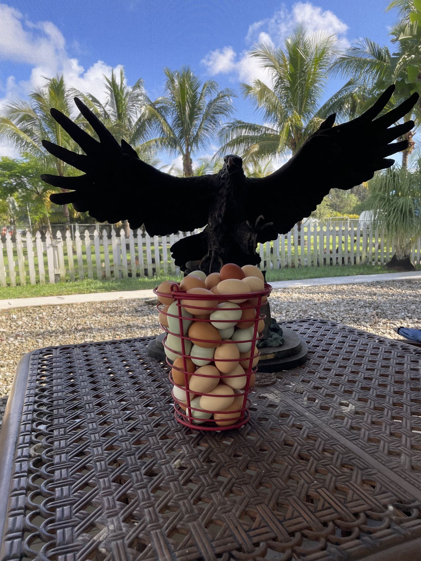 Organic Free Range Eggs