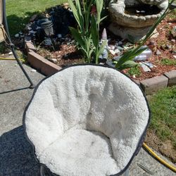 Cat Or Small Dog Bed