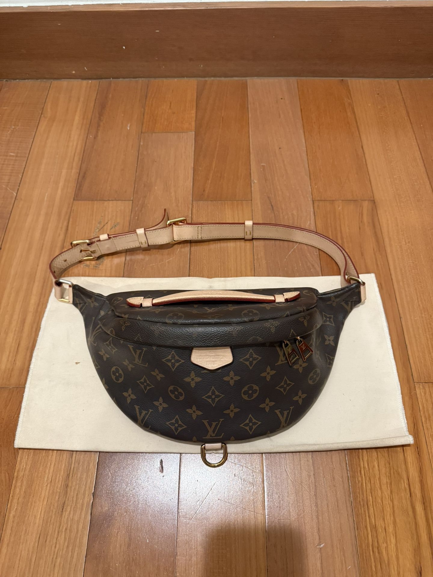 Louis Vuitton Monogram Bumbag Crossbody