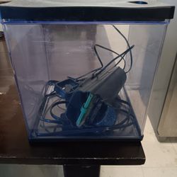 Fish Tank