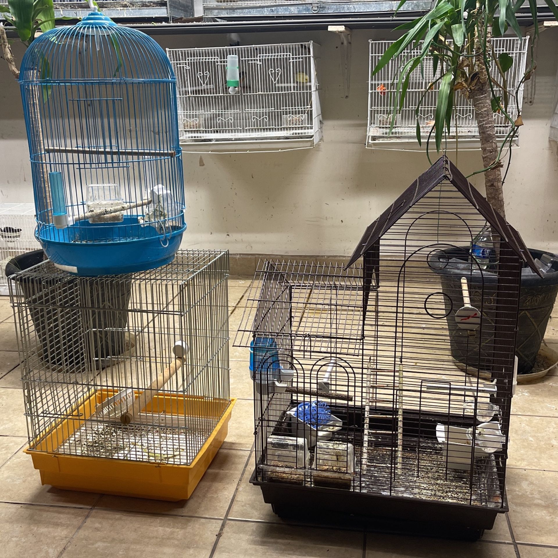 Cage