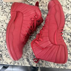 Air Jordan 12 Retro Sz (12)