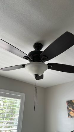 Free fan!