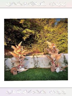 Tailored Ceremony Arches Design Your Dream Wedding Setup case provide