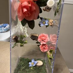 Jumping Spider Terrarium