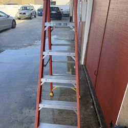 6 Foot Ladder