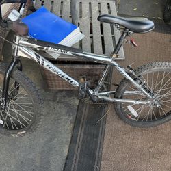 Redline Roam Bmx Bike 