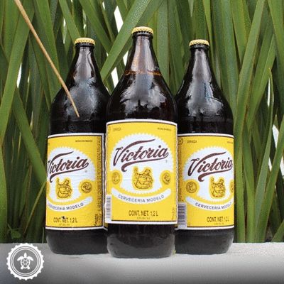 Cerveza De Mexico