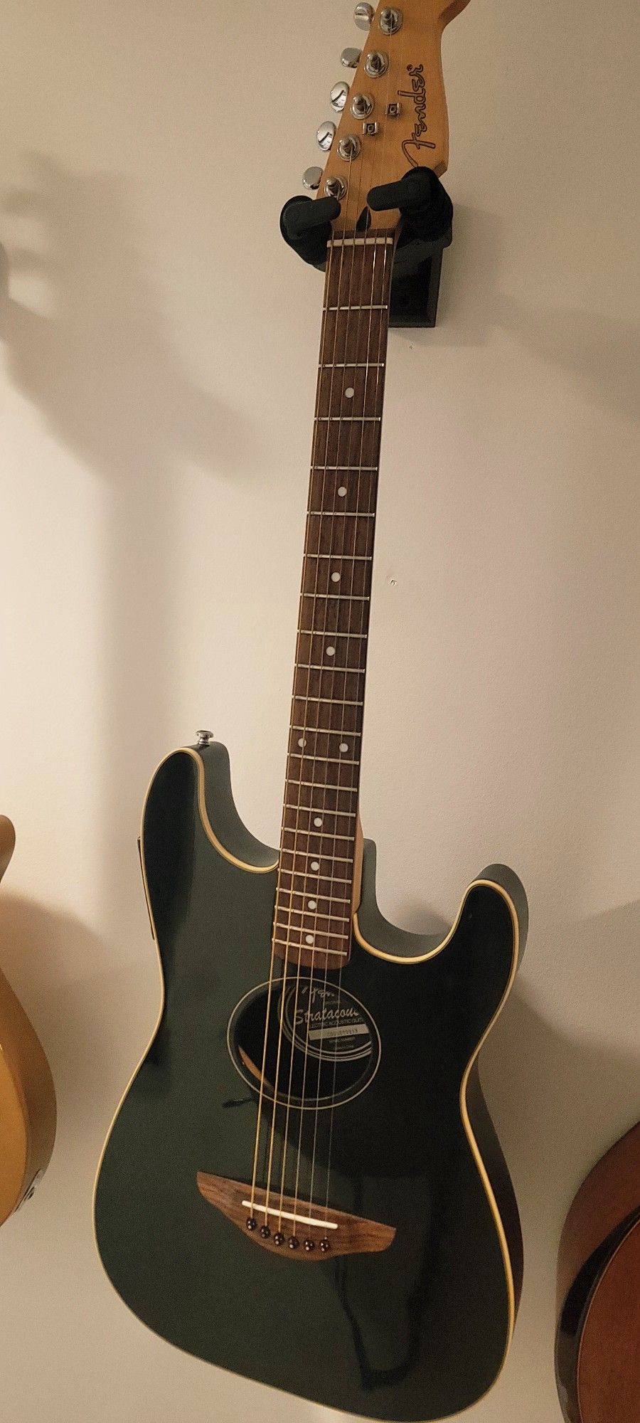 Fender Semi Acoustic