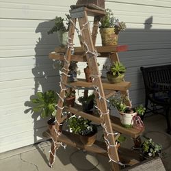 Beautiful Indoor/ Outdoor Holiday Decoration