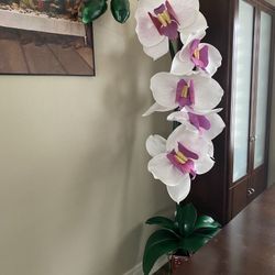 Decor Home 