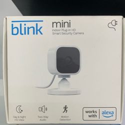 Blink Mini 