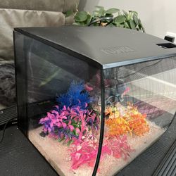 Fluval Fish Tank