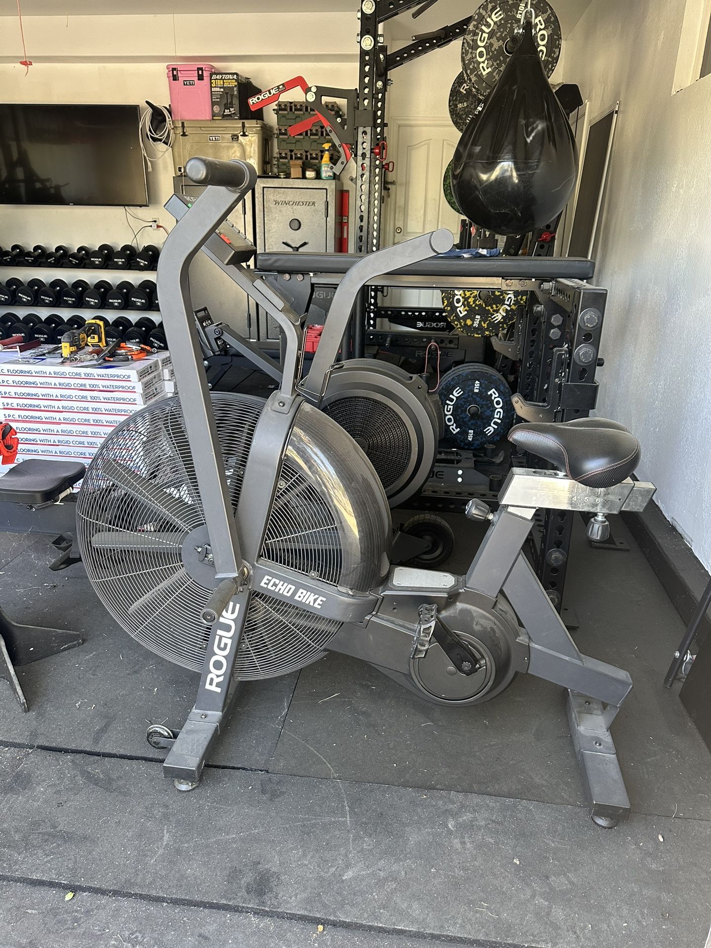 Rogue Echo Bike V2