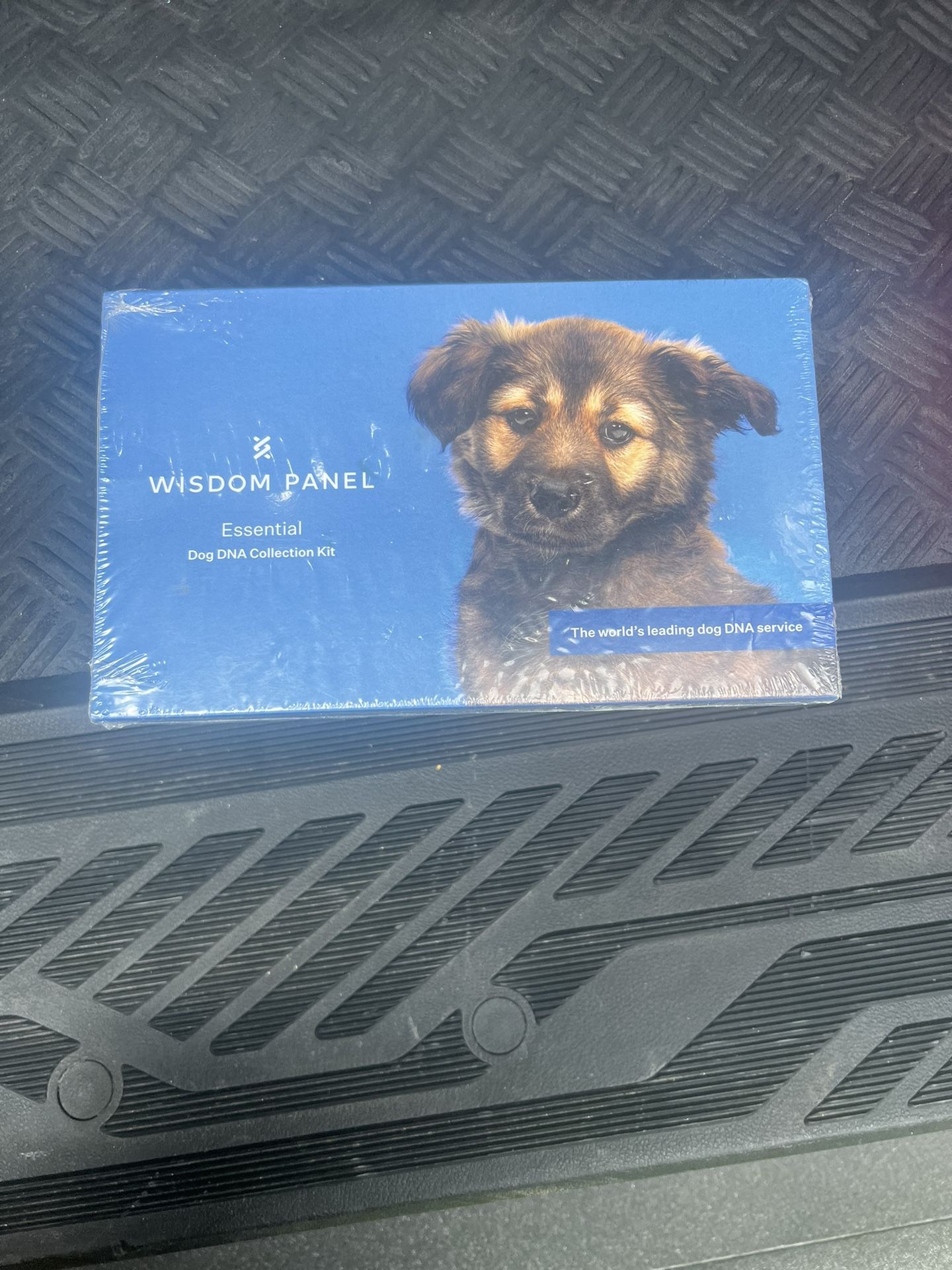 NEW Puppy DNA test