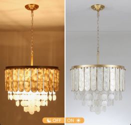 Title:5-Light Gold Capiz Shell Chandelier – Coastal & Elegant – Brand New
