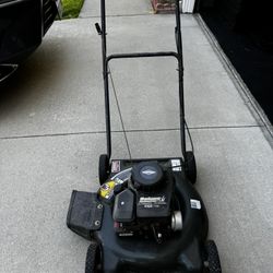 Bolens briggs and stratton 450 series hotsell