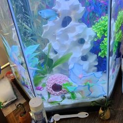 20 Gallon Hexagon Tank Kit