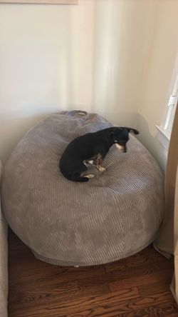 FREE BEAN BAG!