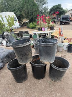 15 gallons pots $5 each / Botes de 15 galones $5