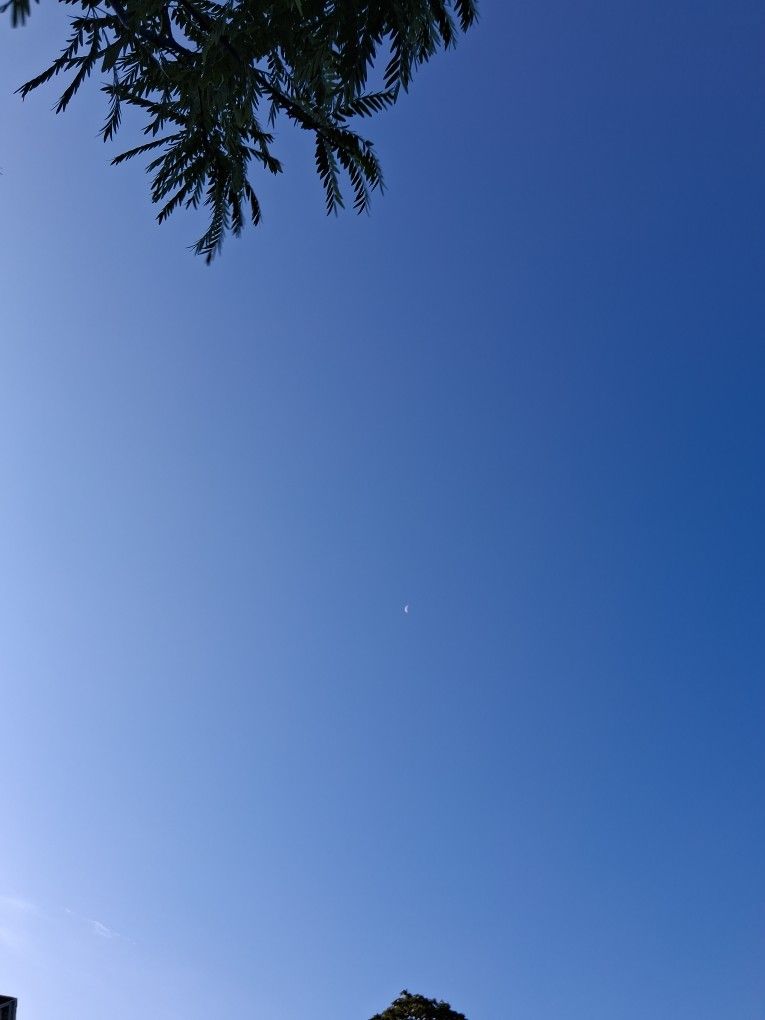 Gps
